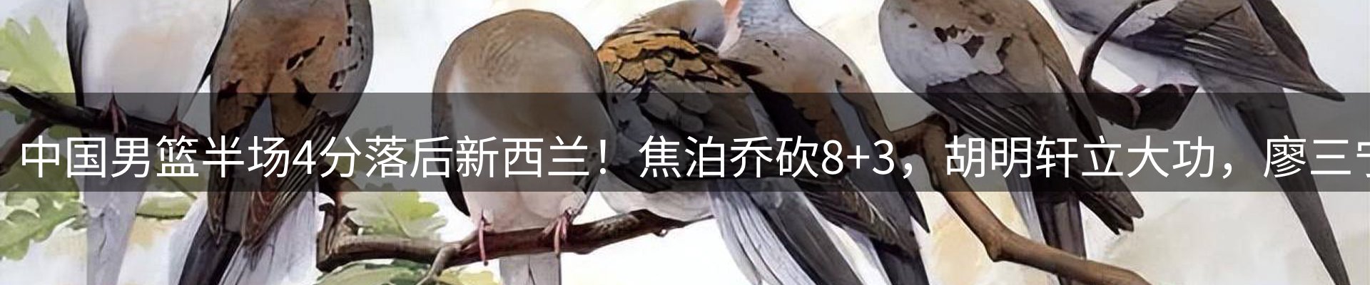 企业热点