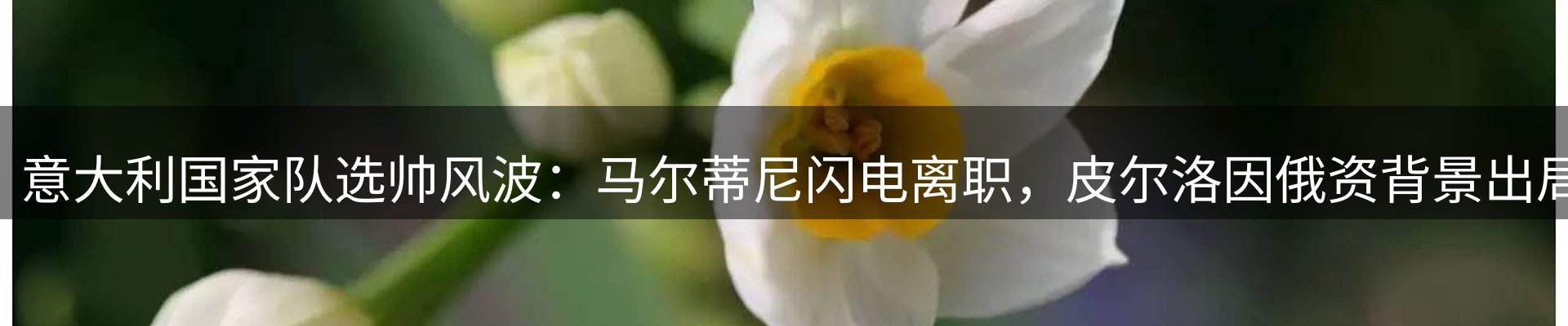 平台资讯