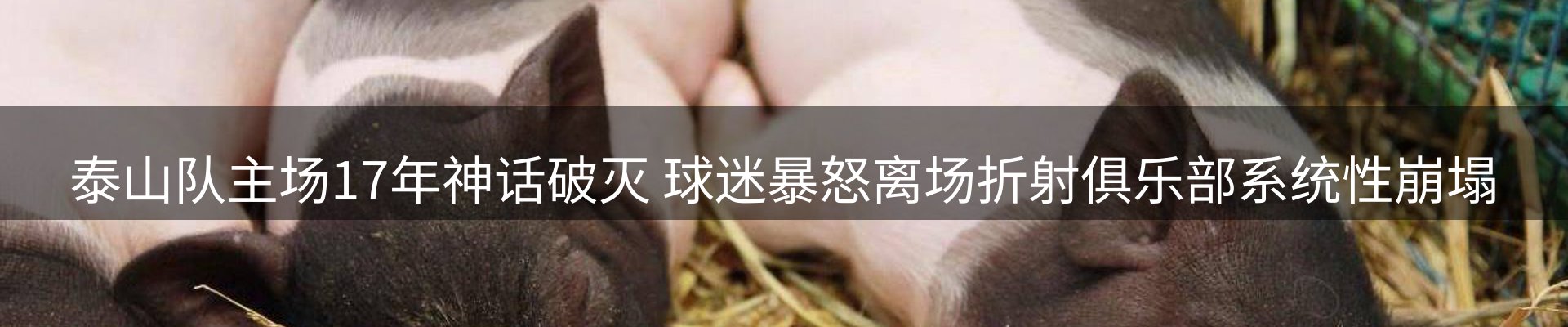 平台资讯