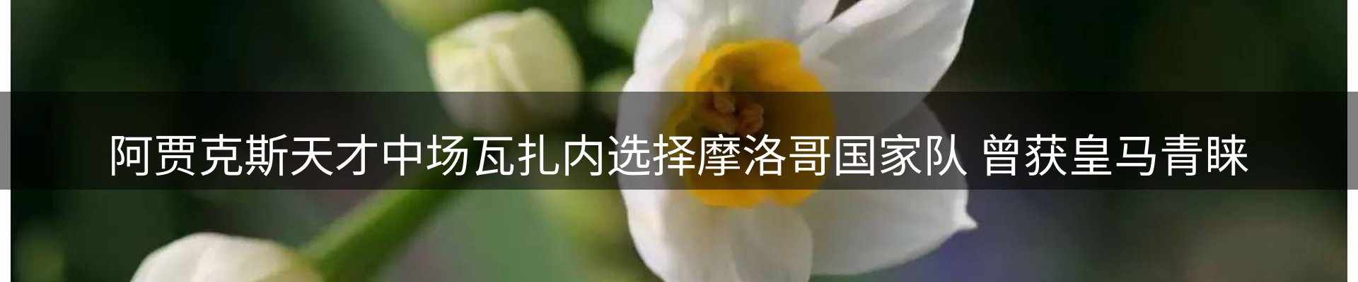 平台资讯